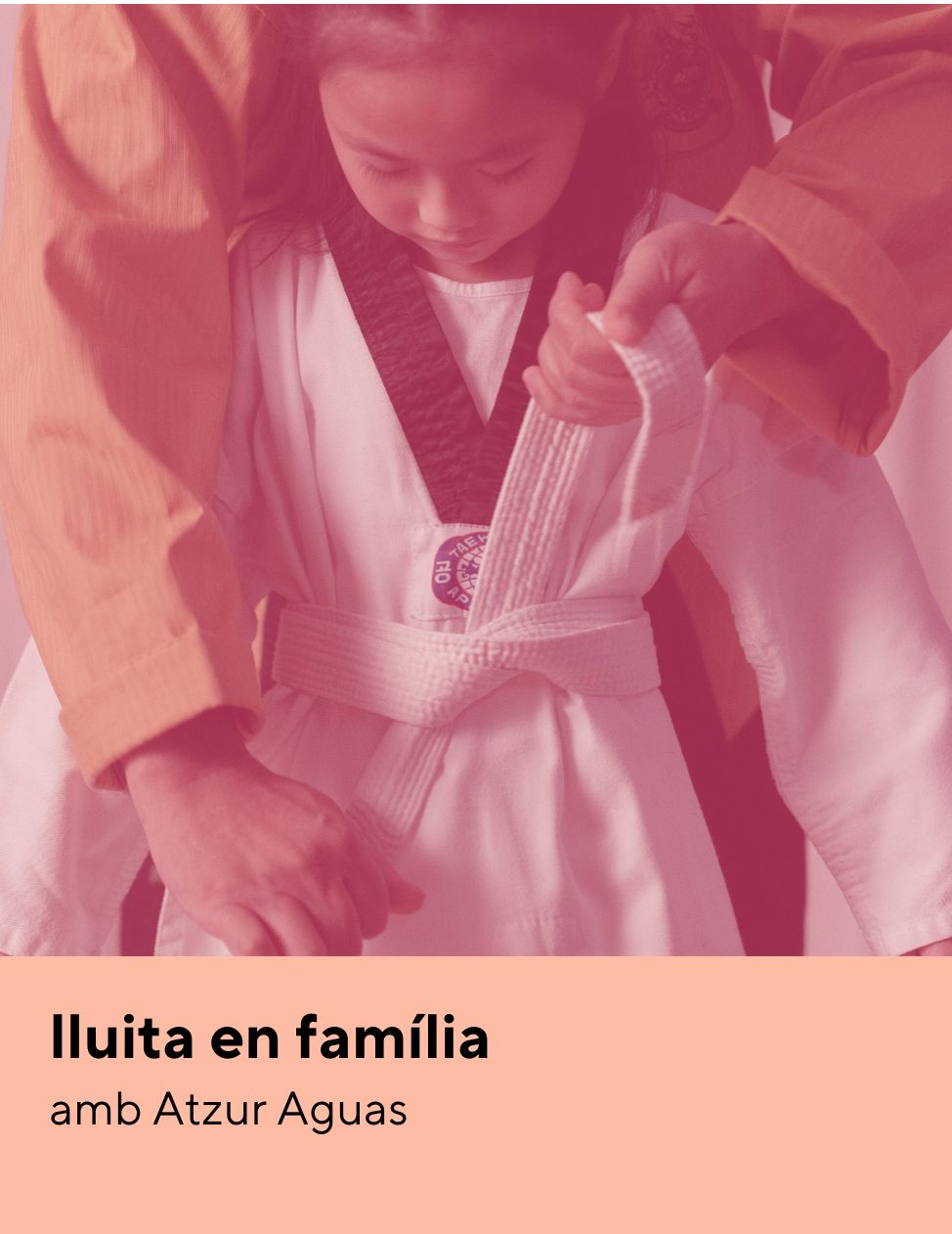 Lluita en Familia