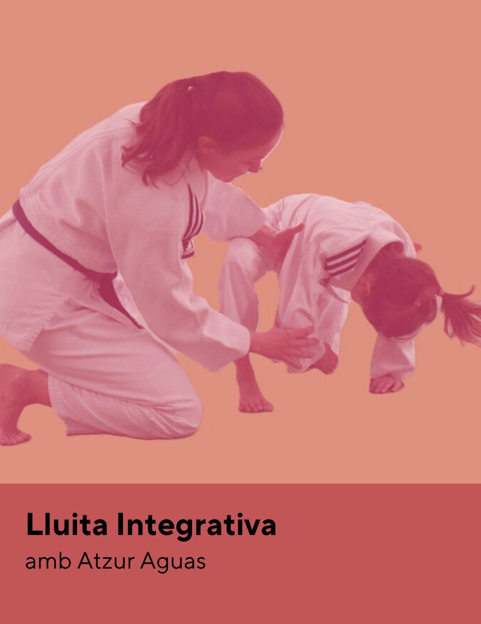 Lluita Integrativa