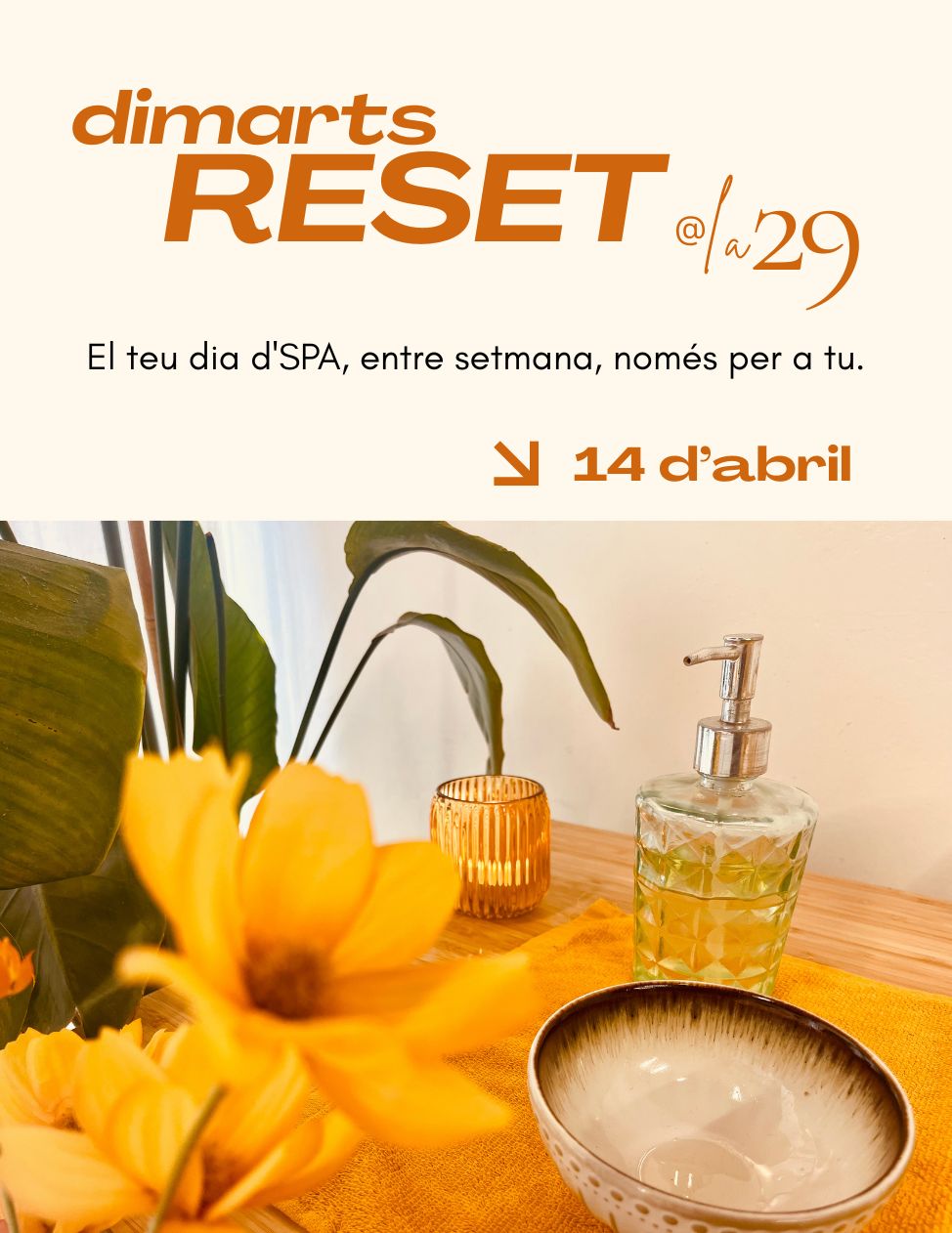 Dimarts RESET