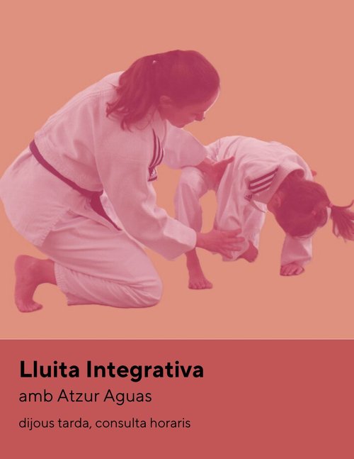 Lluita integrativa